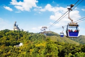 Hong Kong: Boat and NP360 Cable Car or Tai O Day Pass