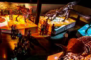 Houston: museumpas voor 1 of 3 dagen