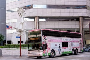 Houston: Tea Around Town® Tour en autobús con té de la tarde