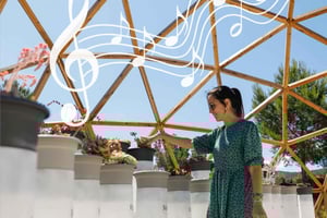 Wycieczka z przewodnikiem po BiBo Park: Biotechnologiczny ogród botaniczny na Ibizie