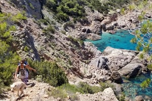 Ibiza: Privat vandring med lokal guide