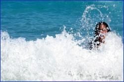 Things WE Recommend...