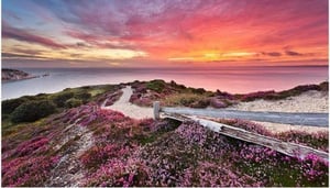 Available Light Photography