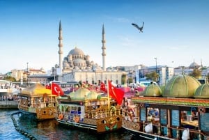 Estambul: Visita guiada privada de 1 ó 2 días con traslado al hotel