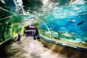 Istanbul Aquarium and Aqua Florya Shopping Mall Tour