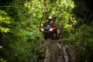 Istanbul: Belgrad Forest ATV Tour with Ziplining Option
