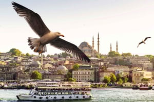 Istanbul: Bosphorus Morning/Sunset Cruise with Optional Stop