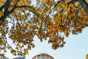 Istanbul: Chora Church (Kariye Camii) & Digital Audio Guide
