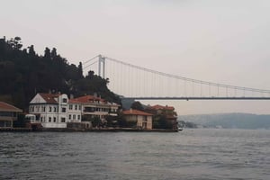 Istanbul: Full-Day City Tour with Bosphorus Cruise and Lunch