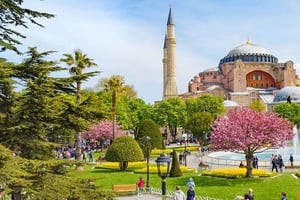Istanbul: Guided Blue Mosque and Hagia Sophia Tour