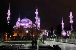 Istanbul: Night Private Guided City Tour