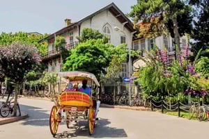 Istanbul Prince Island Cruise with Lunch & Free Time