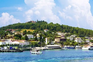 İstanbul: Prince Island Full Day Tour