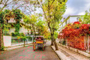 Istanbul: Princes' Islands Cruise with Lunch and Guide