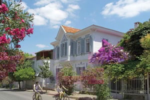 Istanbul: Princes' Islands Cruise with Lunch & Guide