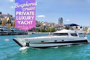 Istanbul: Private Bosphorus Cruise on Luxury Yacht