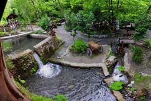 Sapanca Maşukiye tour from Istanbul