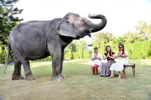 2 päivän Jaipurin nähtävyyskierros norsusafarilla ja oppaalla