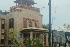 Джайпур: Храм обезьян, экскурсия по городу на автомобиле/тук-туке