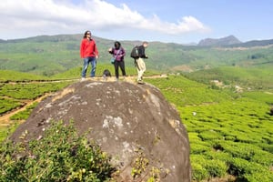 Cochin: 5-Day Private Tour of Munnar, Alleppey & Backwaters