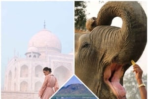 Delhi: 2 päivän Agra & Jaipur -kierros Elephant SOS:n ja 5 tähden hotellin kanssa