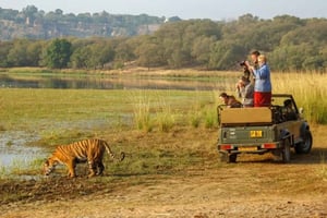 Fra Delhi: 6-dagers privat tur til Det gyldne triangel med Ranthambore