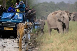 Índia: Triângulo Dourado e Parque Nacional Jim Corbett