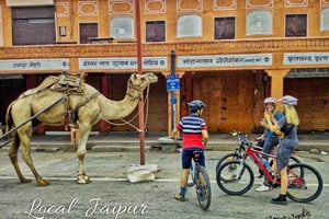 Jaipur: Jaipur Old City: 3-tunnin aamupyöräretki Jaipurin vanhaan kaupunkiin