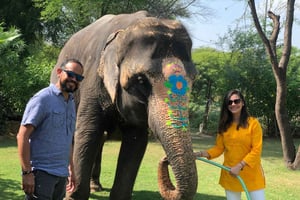 Jaipur: Tur med elefantinteraktion