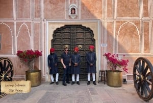 Jaipur: Halvdagstur (Amber Fort, Panna Meena, Jal Mahal)