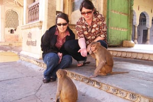 Джайпур: частный полный тур по Розовому городу с посещением Храма обезьян