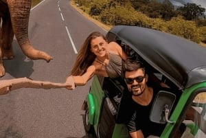 Jaipur: Private ganztägige Sightseeing-Tour mit dem Tuk-Tuk