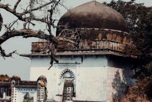 Da Nuova Delhi: Safari di 2 giorni alla ricerca delle tigri di Ranthambore con trasferimenti