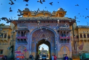 Jaipur: Tour privado nocturno con puesta de sol en el Templo de los Monos