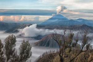 From Jakarta: Highlights of Java Guided Eight-Day Tour
