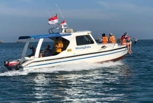 Из Джакарты: однодневная поездка на вулкан Кракатау с подводным плаванием