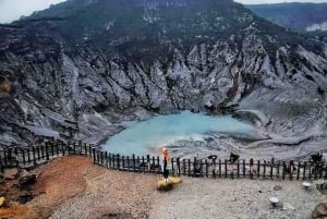 From Jakarta : Volcano, Tea & Rice Fields, Hot Spring