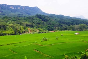 Jakarta: Botanical Garden & Rainforest Trekking to Waterfall