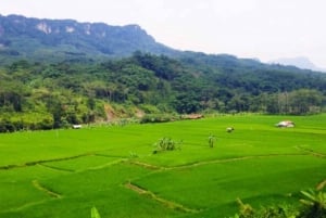 Джакарта: Ботанический сад и поход в тропический лес к водопаду