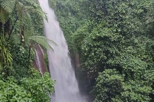 From Jakarta: Bogor Botanical Garden, Ricefield, & Waterfall