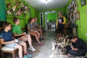 Джакарта: Богорский ботанический сад со всеми художниками