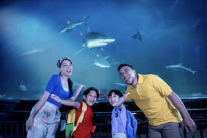 Jakarta: Sea World Ancol Entry Ticket