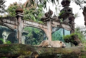 Jakarta : Taman Safari, Panda-palasset og fossen