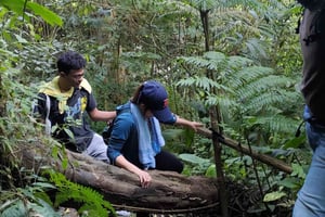 Jakarta nach Bogor: Tagesausflug zum Luhur Wasserfall und Lido See
