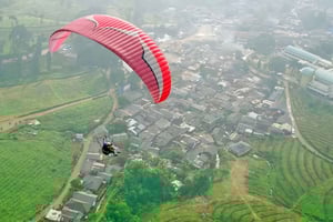 Jakarta: Paragliding on Top Mountain & Tea Plantation