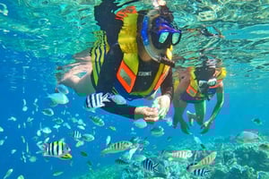 Yakarta: Excursión a la Isla de Bali, similar a la de las Mil Islas