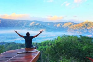 Java Bali Private Tour Package with Driver as Guide