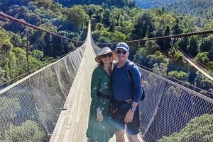 De Jacarta: Visita à ponte suspensa Situ Gunung e à cascata