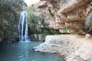 Naturreservatet Ein Gedi och Döda havet på ryska
