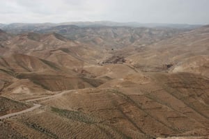 Fra Tel Aviv: Besøk i Dødehavet og ørkensafari